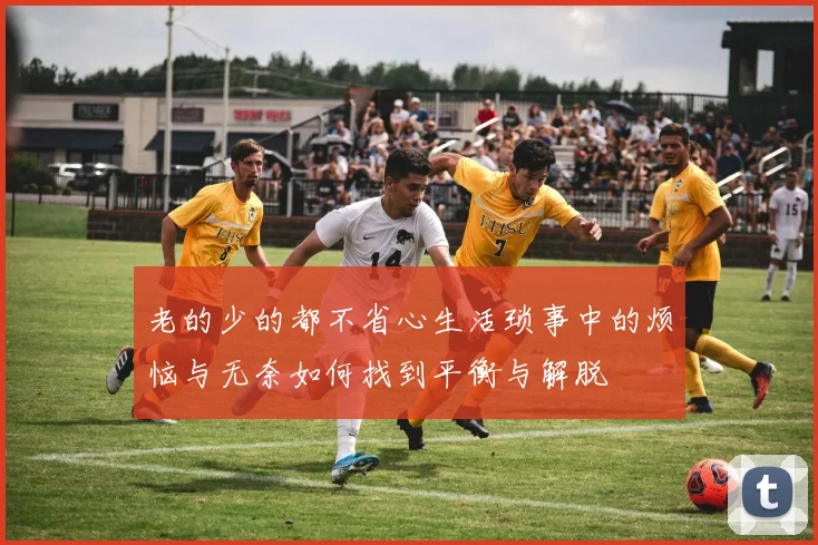 老的少的都不省心生活琐事中的烦恼与无奈如何找到平衡与解脱